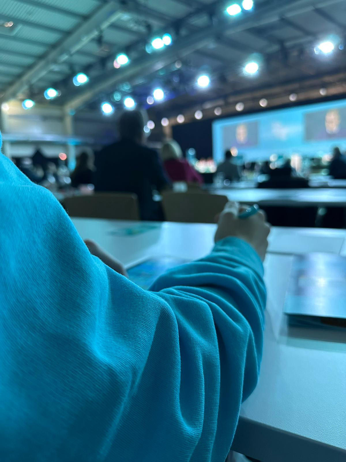 CDU Landesparteitag 2025