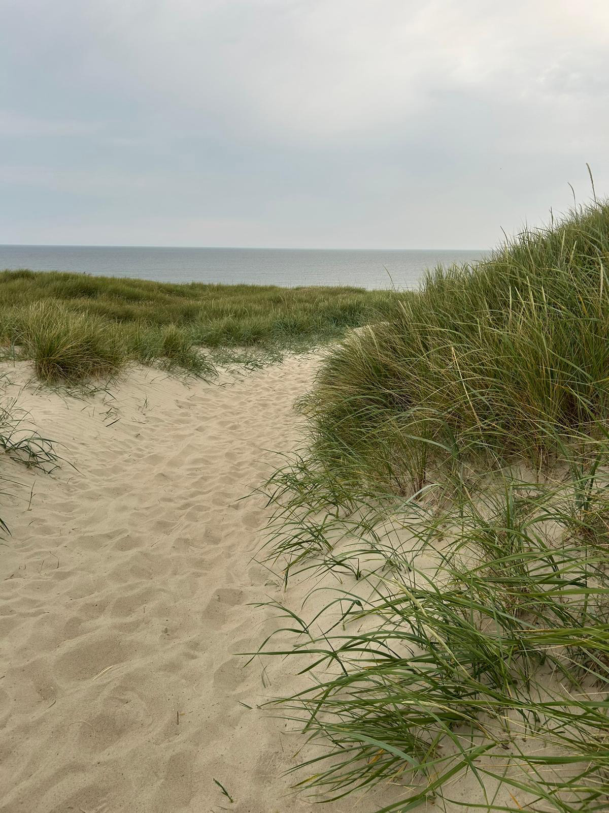 Strandweg durch Dünen zur Nordsee