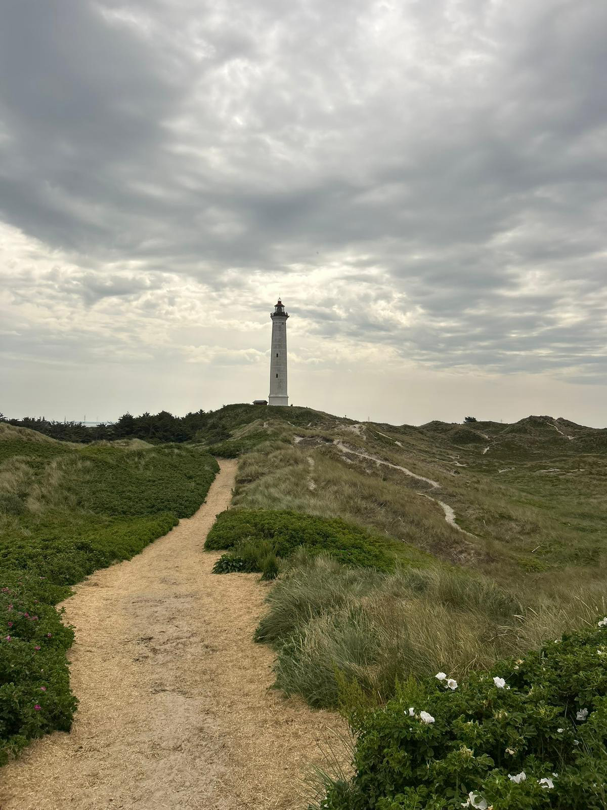 Leuchtturm in Hvide Sande, Dänemark
